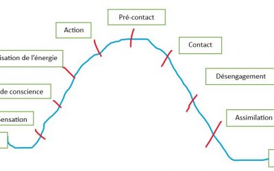 Comprendre et Utiliser le Cycle de Contact en Thérapie Gestalt